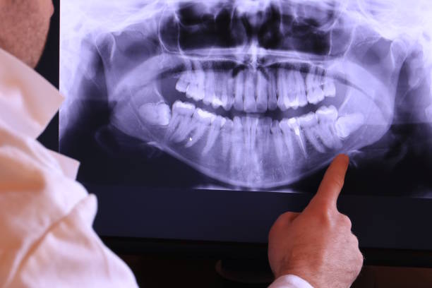 Best Emergency X-Rays and Diagnostics in Dudley, NC