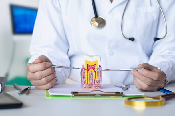 Best Walk-In Emergency Dental Services in Dudley, NC